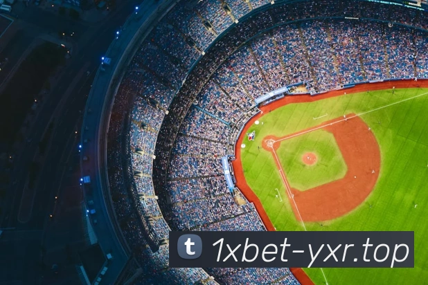 1xbet官网服务体系